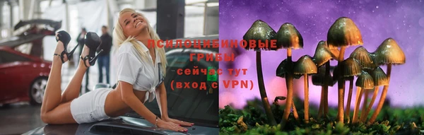 apvp Нея