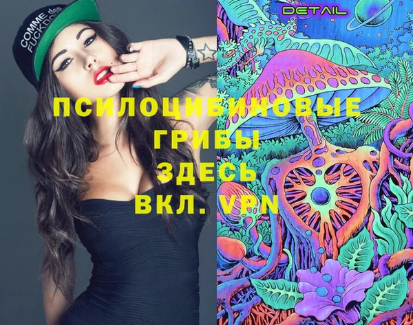 apvp Нея