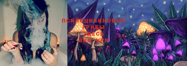 apvp Нея