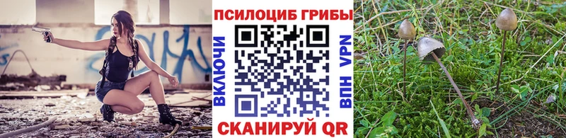 Псилоцибиновые грибы GOLDEN TEACHER Мытищи