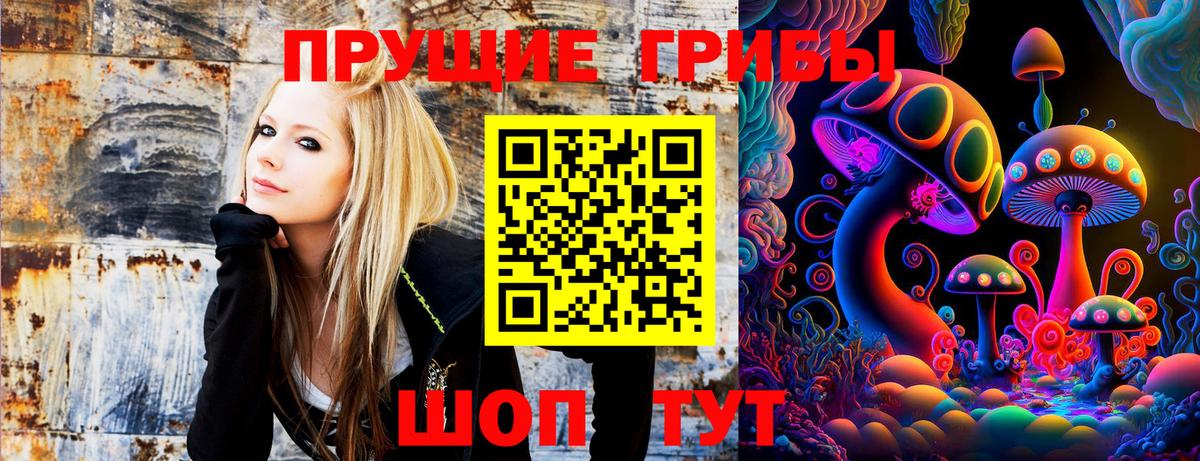 Псилоцибиновые грибы Cubensis  Вход с VPN  Мытищи 