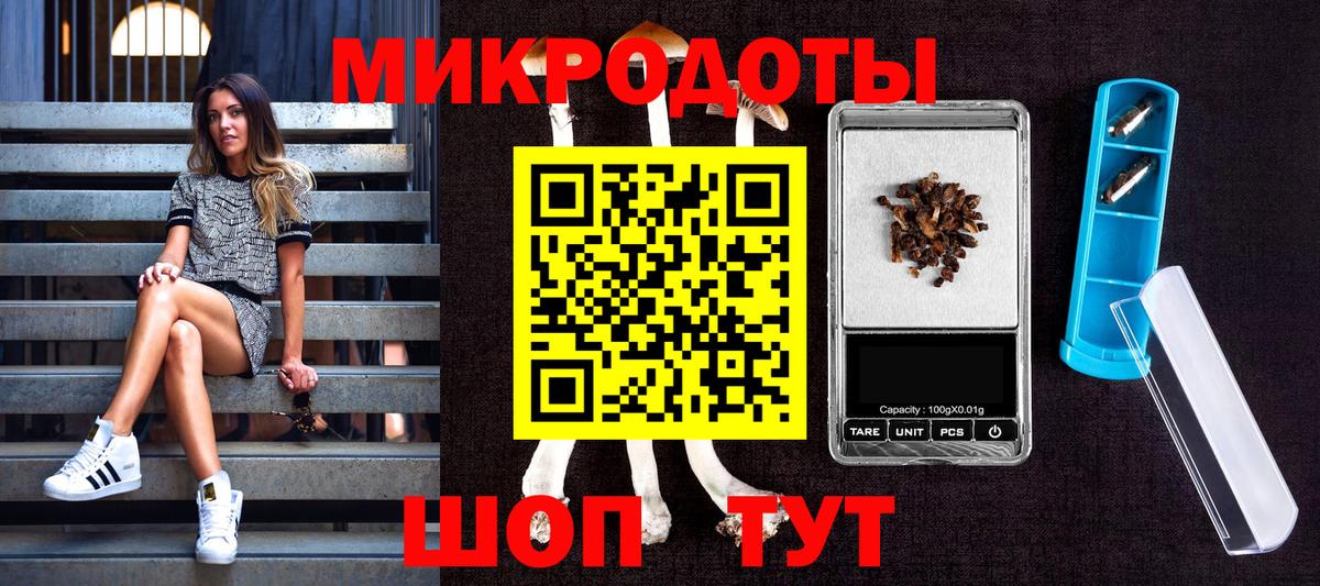 Галлюциногенные грибы Cubensis Мытищи