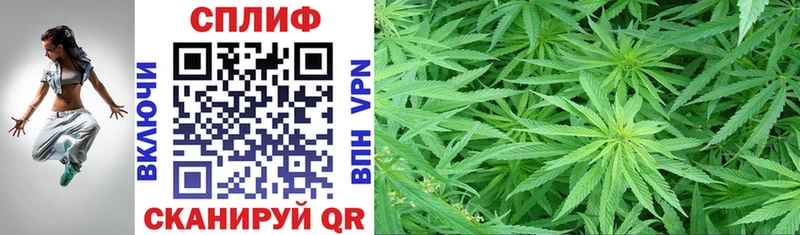 блэк спрут онион Мытищи Бошки Шишки SATIVA & INDICA